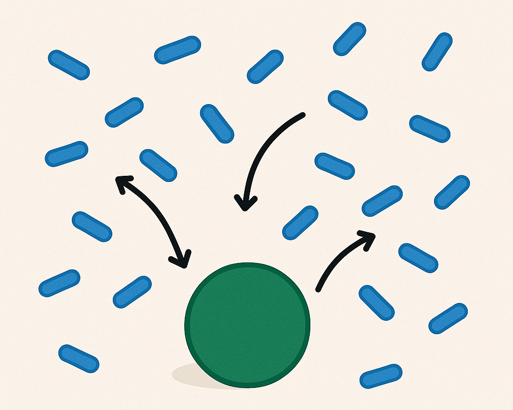 Bacteria attraction