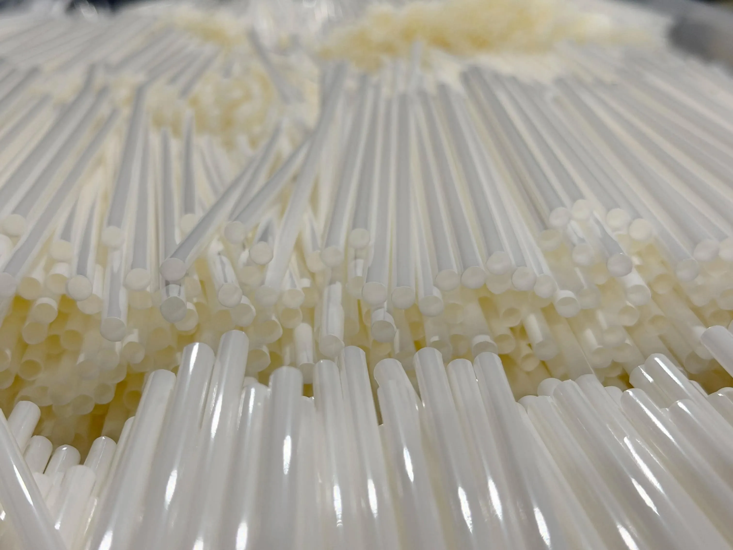 Finished PureStalk drinking straws in a production bin